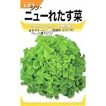 Amazon.co.jp: 宝種苗 レタス ニューれたす菜のタネ : DIY・工具・ガーデン